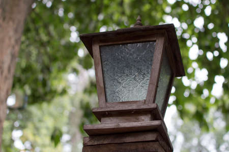 Lamps under the treeの写真素材