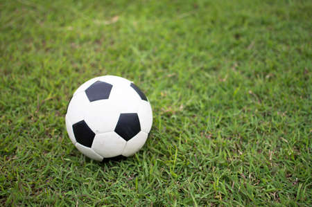 Soccer ball on green fieldの写真素材