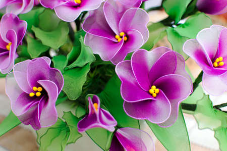 Plastic Purple flowersの写真素材