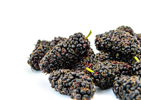 mulberry isolated on white の写真素材