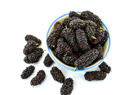 mulberry isolated on white 