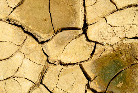 dry cracked earth 