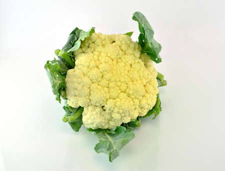 Cauliflower on white backgroundの写真素材