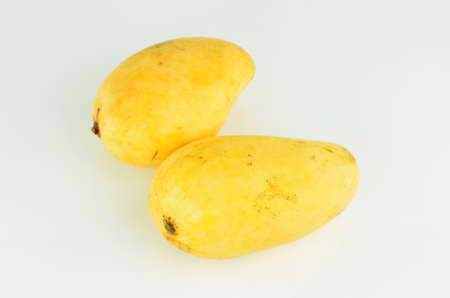 yellow Mango fruit on white background