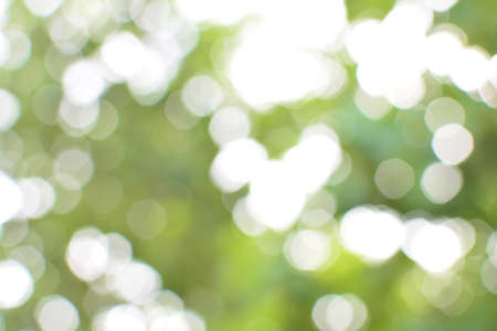 soft bokeh green backgroundの写真素材