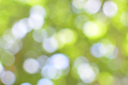 blurred bright bokeh nature backgroundの写真素材