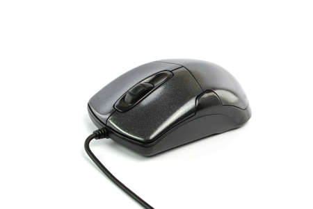 black mouse on white background