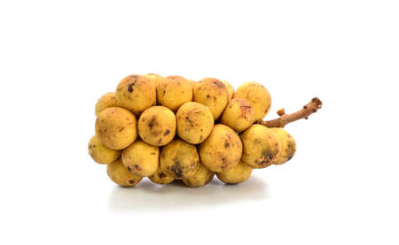 Longkong fruit or Lansium parasiticum on white backgroundの写真素材
