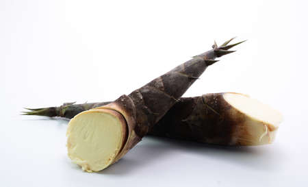 Bamboo shootsの写真素材