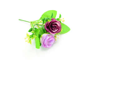 artificial flower isolated on white backgroundの写真素材