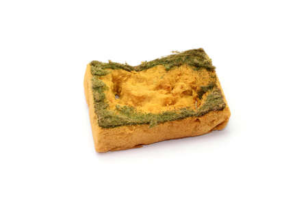 Old sponge for dish cleaning isolated on white background