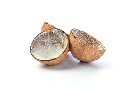 Coconut isolated on white backgroundの写真素材