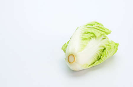 Chinese cabbage isolated on white background