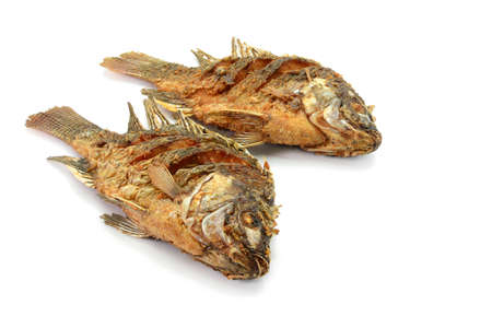 Fried Tilapia fish fried isolated on white background