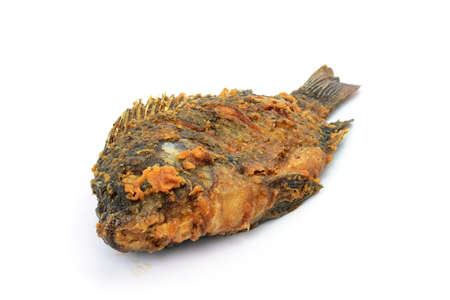 Fried Tilapia fish fried isolated on white backgroundの写真素材