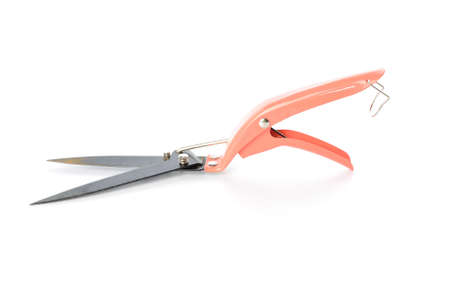gardening secateurs for cutting branches isolated on white background