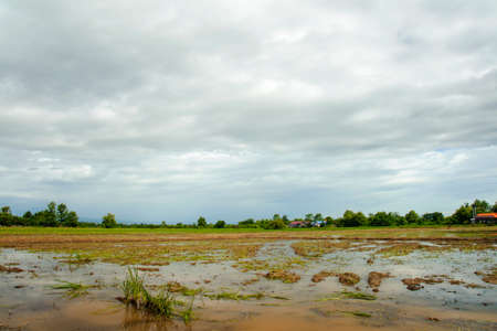 landscape of empty mud field with skyの写真素材