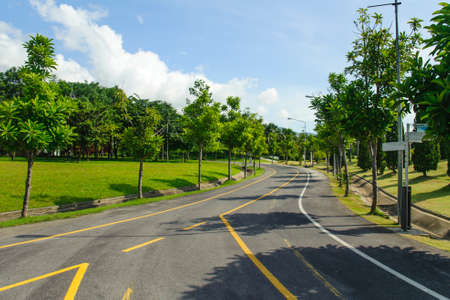 the road in the park