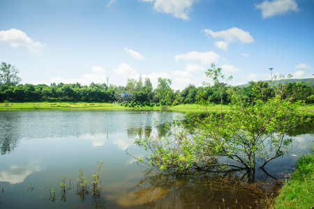 Lake and forest under blue sky Reservoirの写真素材