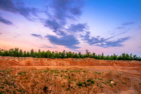 Landscape with trees under the evening skyの写真素材