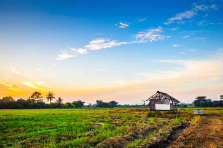 Landscape of rural field at sunsetの写真素材