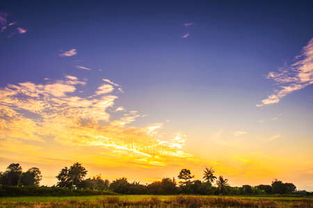 Landscape of rural field at sunsetの写真素材
