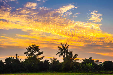 Landscape of rural field at sunsetの写真素材