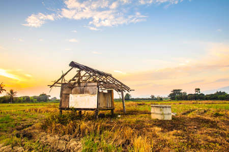 Landscape of rural field at sunsetの写真素材