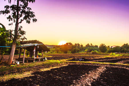 landscape agricultural field arable landの写真素材