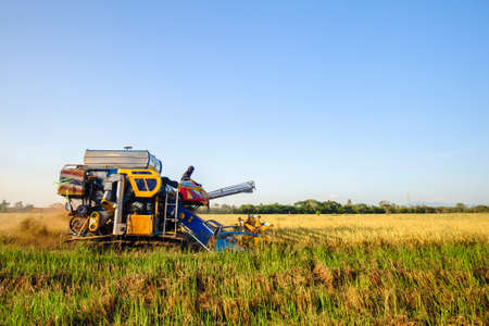 combine harvester is harvesting riceのeditorial素材