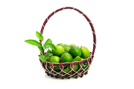 basket and lemon isolated on white backgroundの写真素材