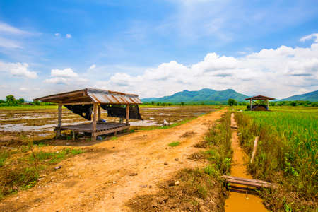 Landscape of agricultural area to prepare riceの写真素材