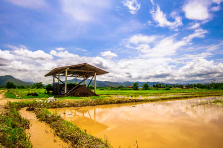 Landscape of agricultural area to prepare riceの写真素材