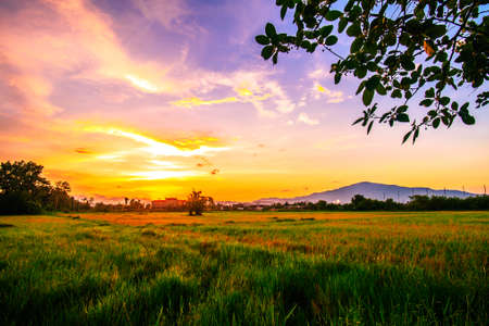 Landscape of open field in evening timeの写真素材
