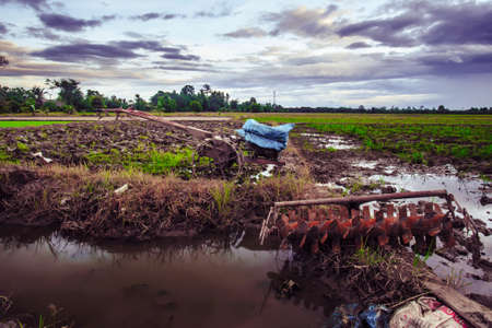 Landscape of fields in the evening with wheel plowの写真素材