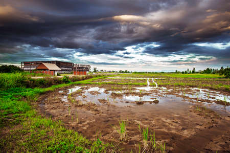 Landscape of the farmhouse in the eveningの写真素材