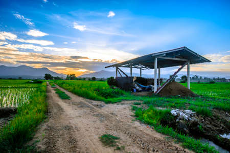 Landscape of the farmhouse in the eveningの写真素材