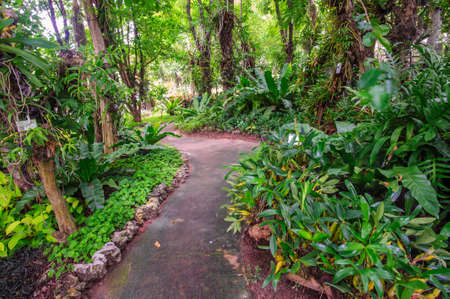 landscape beautiful garden spring flowerの写真素材