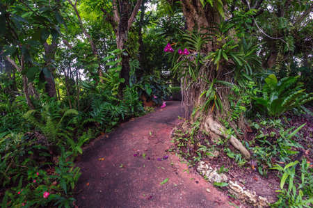 landscape beautiful garden spring flowerの写真素材