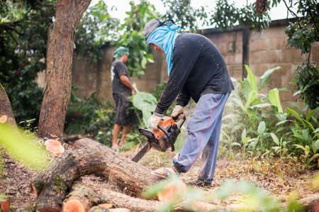 THAILAND-AUGUST,16 :Young man cutting wood to be used as firewood. THAILAND AUGUST,16 2017のeditorial素材