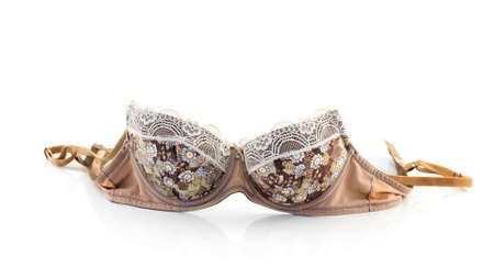 bra isolated on white backgroundの写真素材