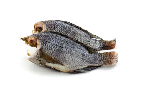 dry fish isolated on white backgroundの写真素材
