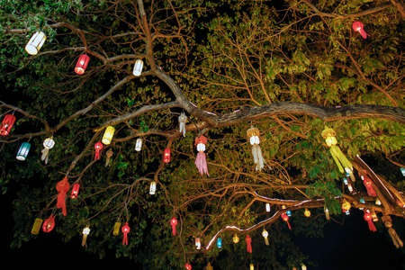 decoration lamp hanging under the treeの写真素材