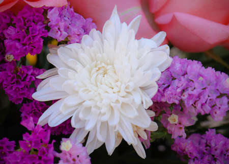 bouquet flowers for backgroundの写真素材