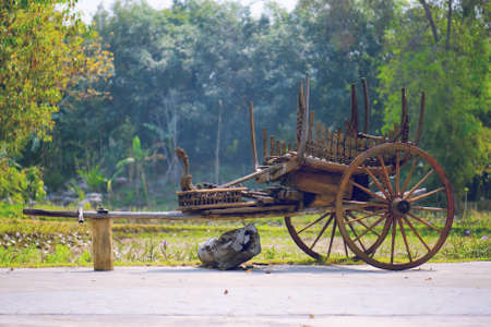 antique wood cart in gardenの写真素材