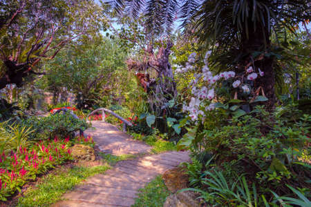 Flower garden in summerの写真素材