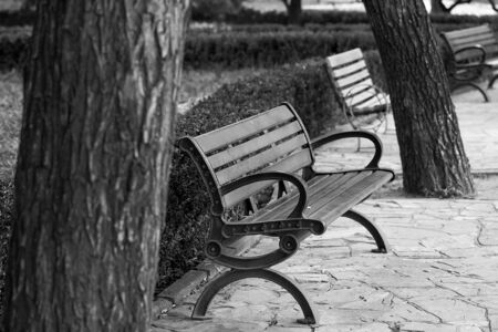 bench chair at parkの写真素材