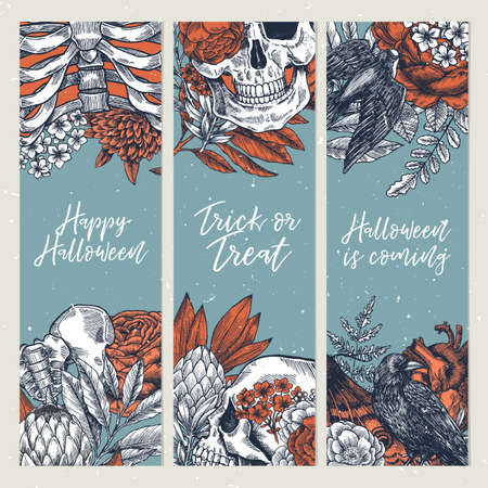 Halloween party vertical design templates. Vintage floral anatomy background Vector illustrationのイラスト素材