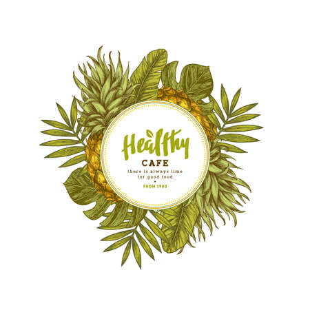 Pineapple tropical vintage design template. Botanical fruit. Engraved pineapple. Vector illustrationのイラスト素材