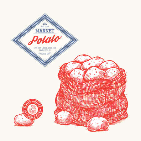 Potato engraved farm design template. Bag of potatoes. Vector illustrationのイラスト素材
